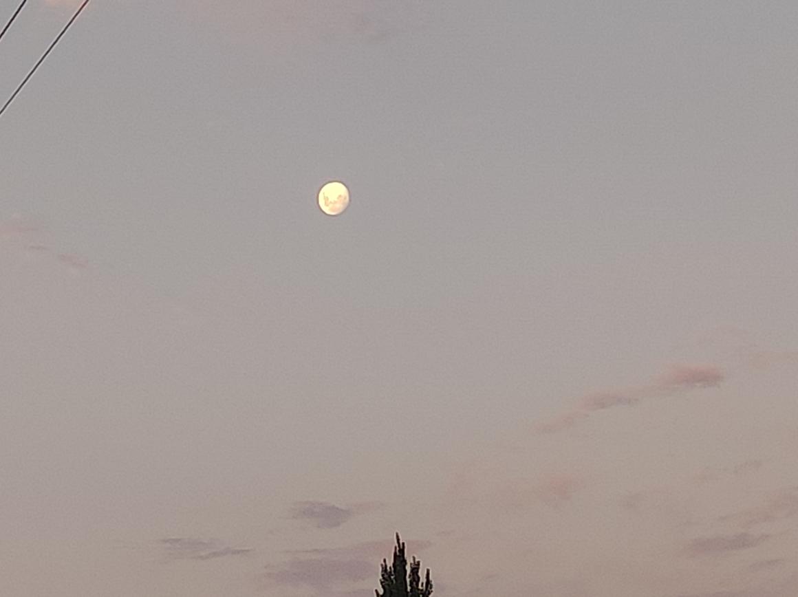C.
