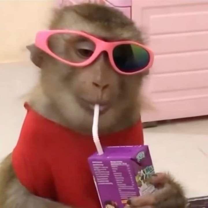 Angi