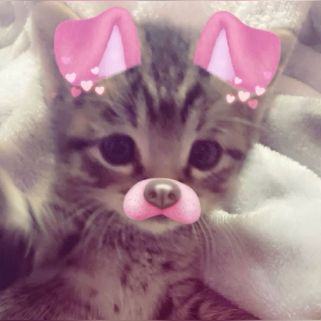Sam