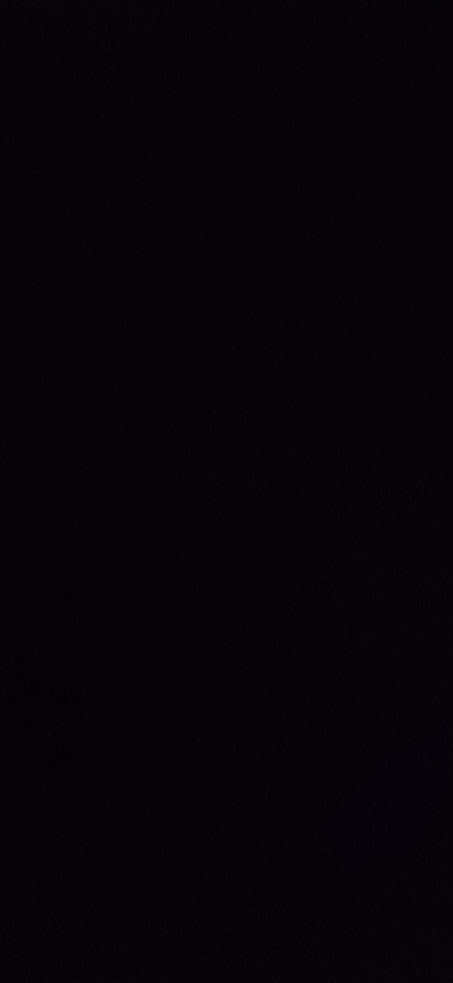 Anonimo
