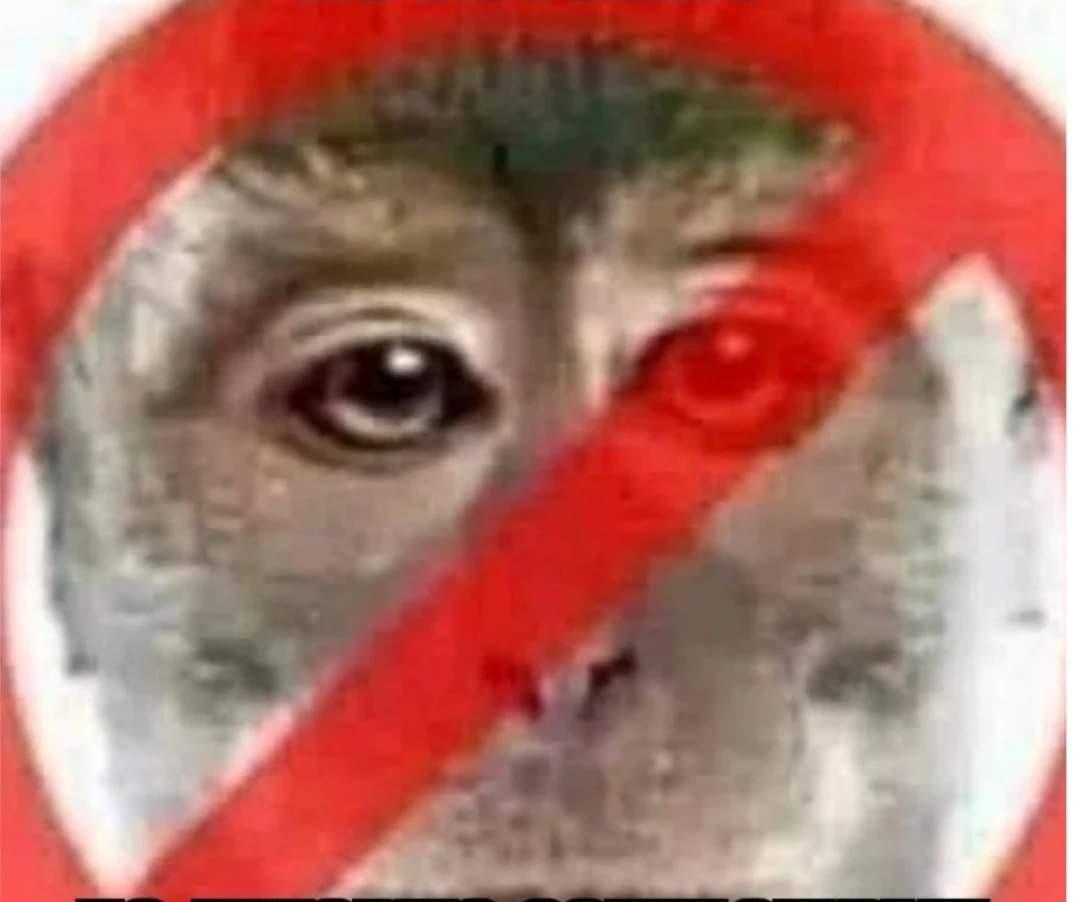 Anonimo
