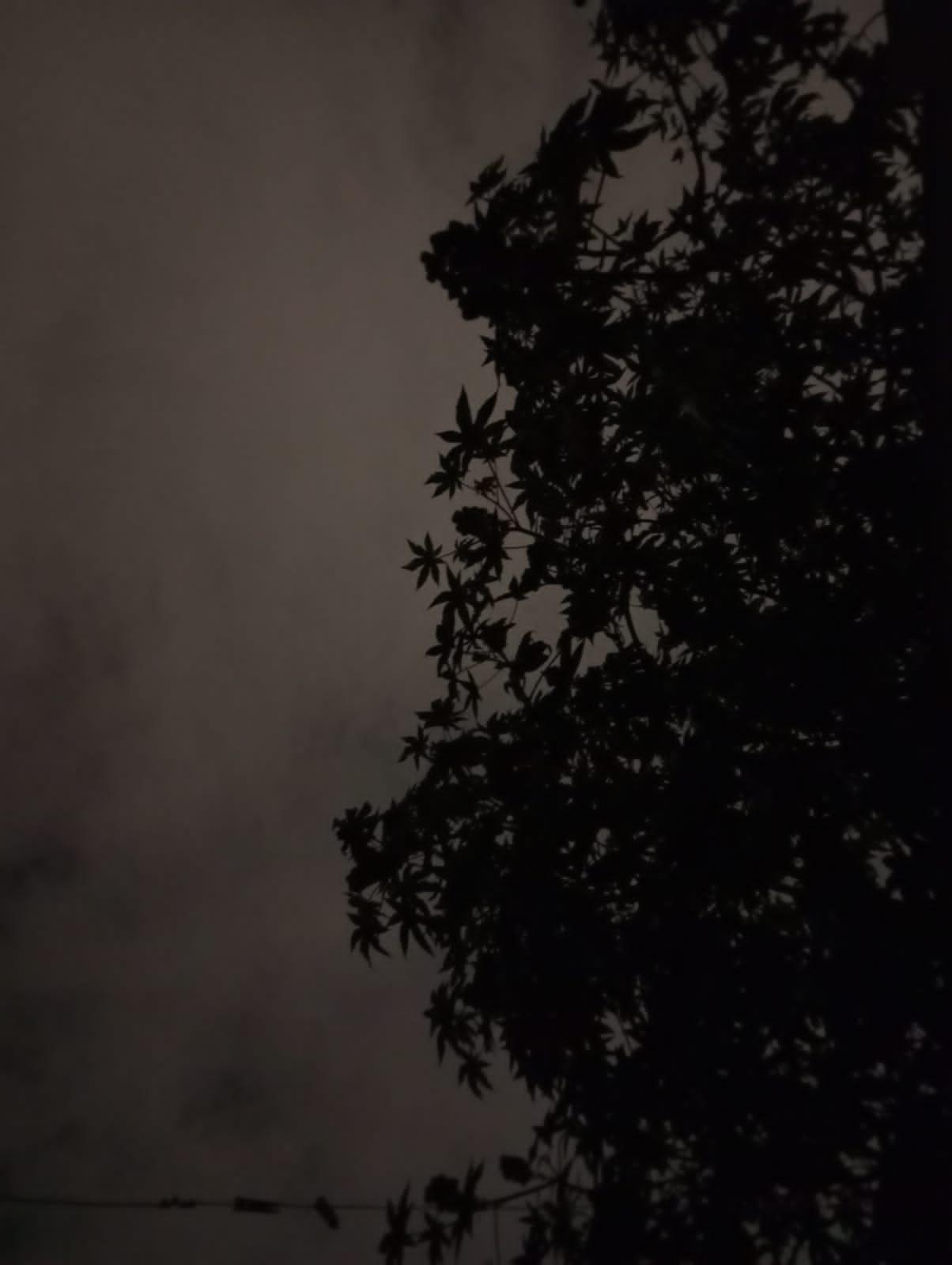 Eyu