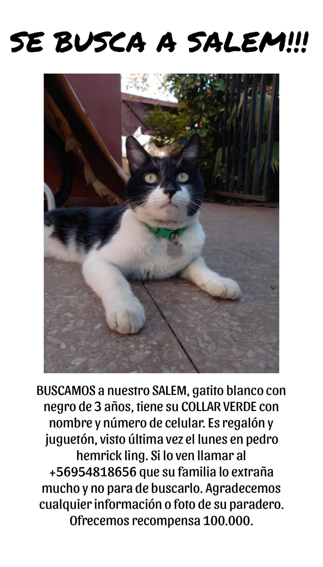 Mami De SALEM