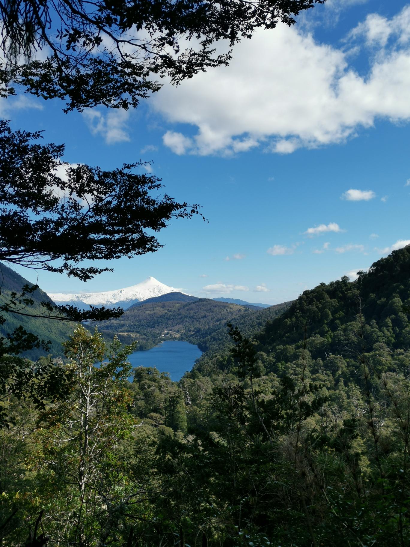 Anónimo