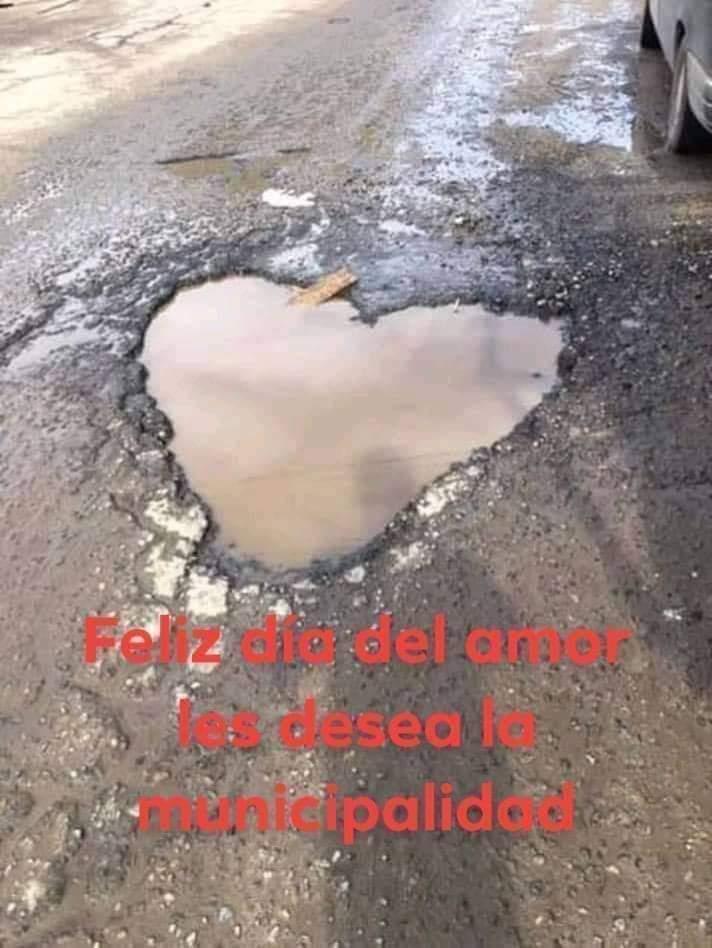 Anonimo