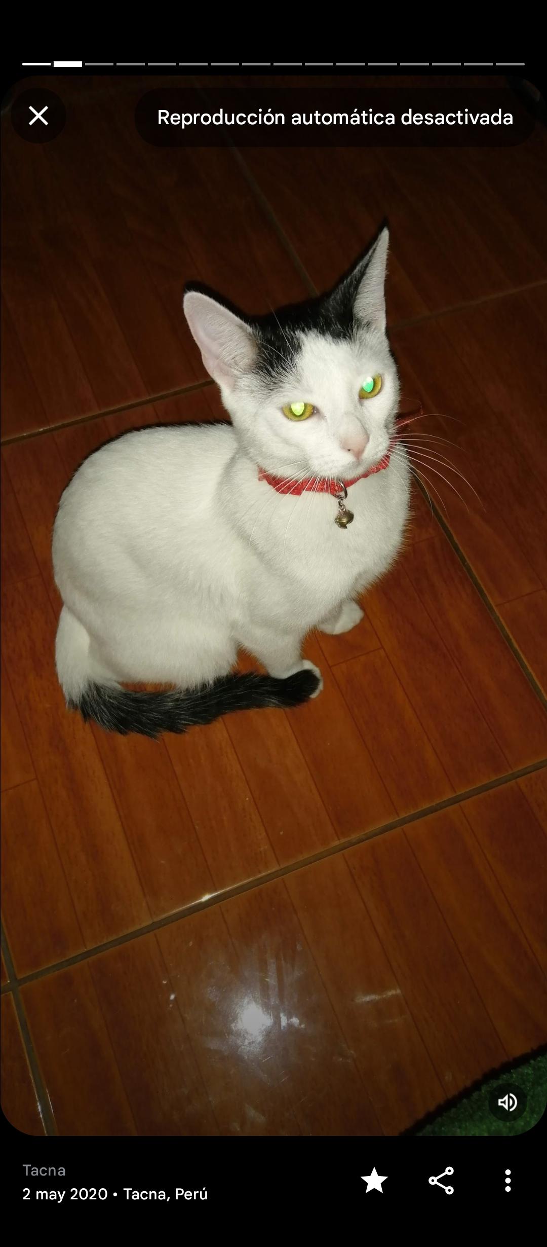 Manuel