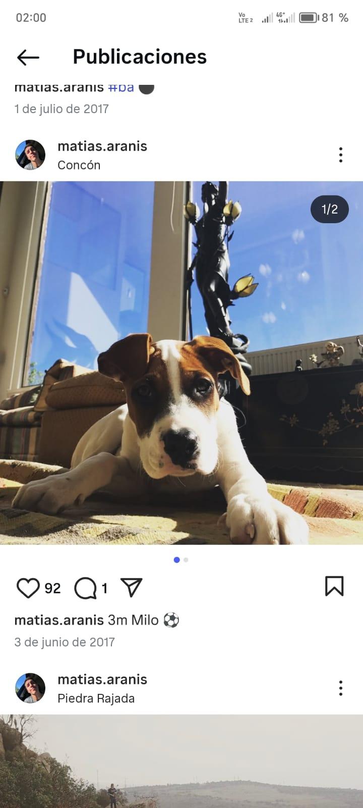 Ayudanimal