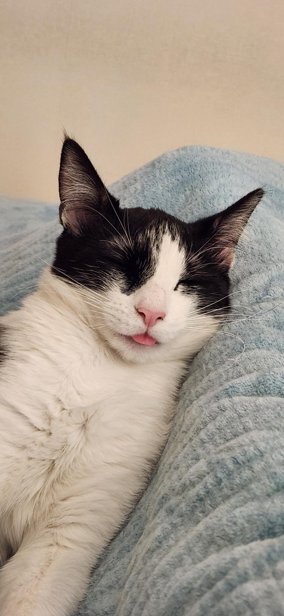 GATA