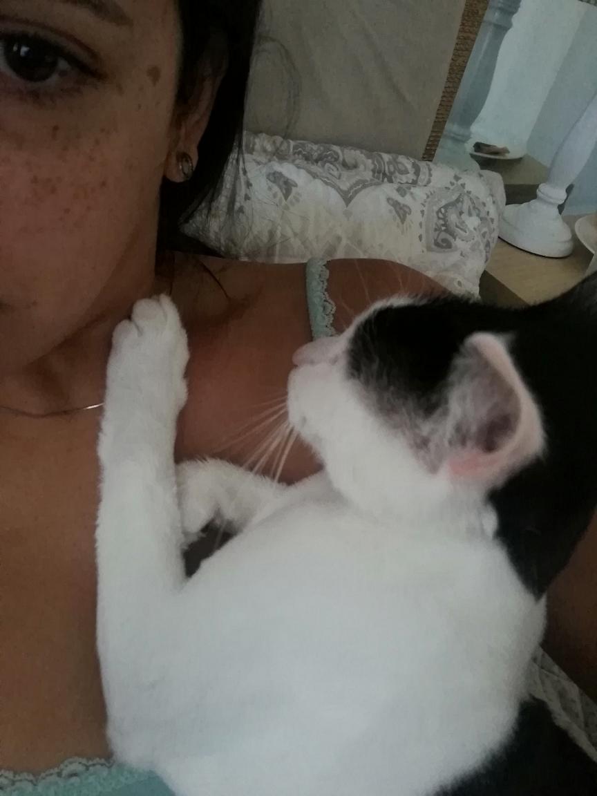 Pameow
