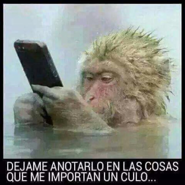 Anónimo