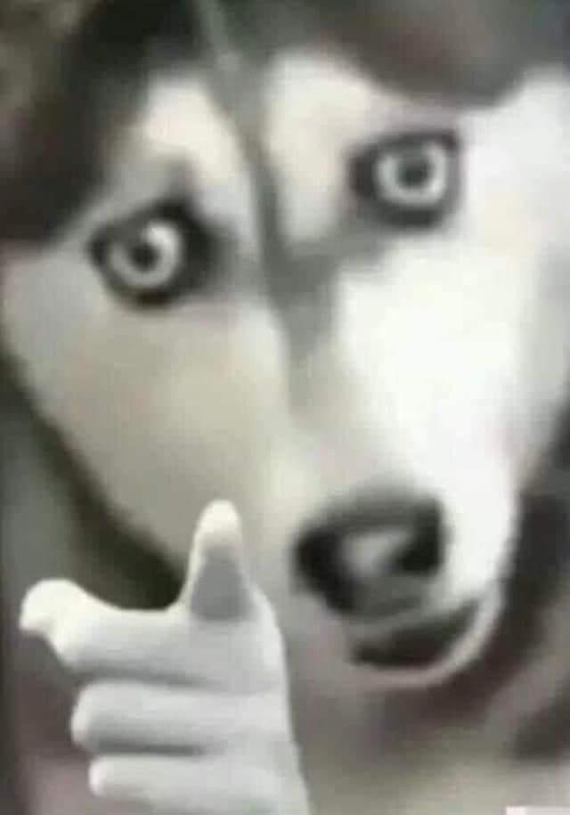 ~