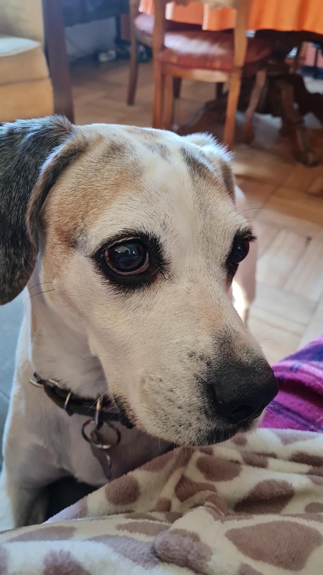 Gina