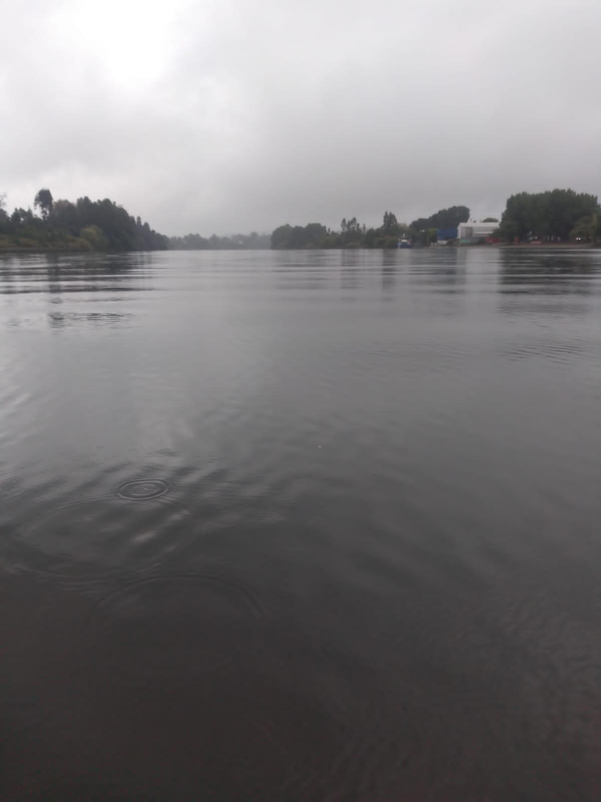 Anónimo
