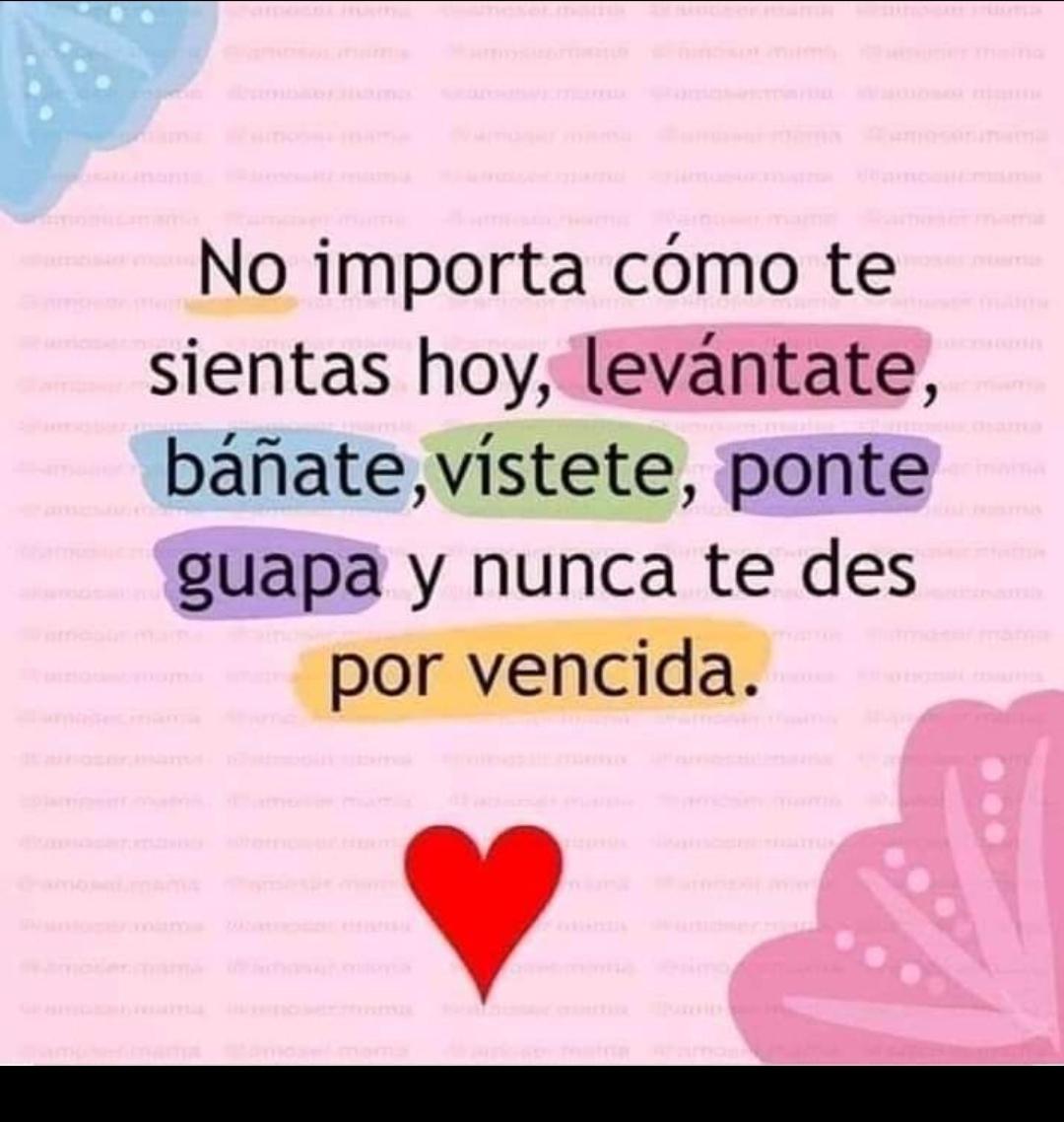 Anonimo