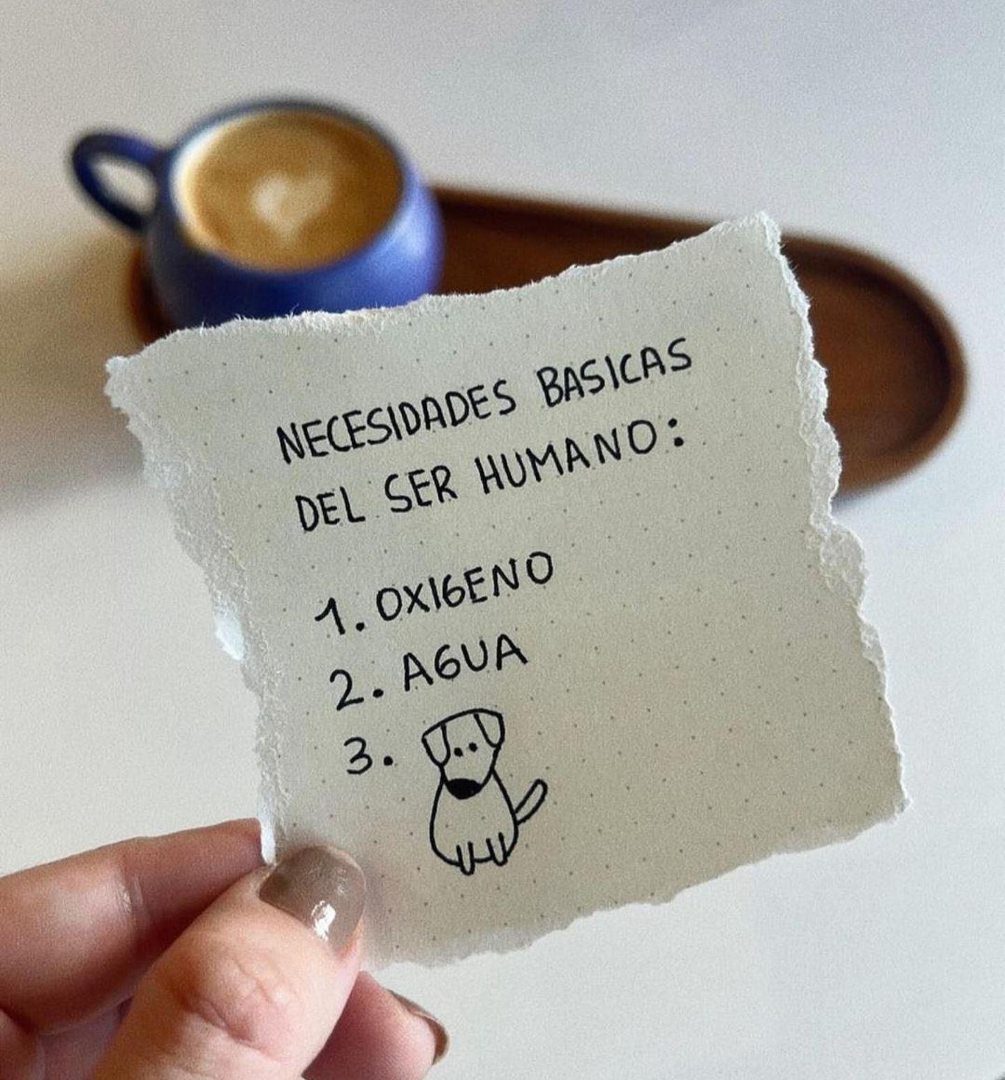Bárbara ??