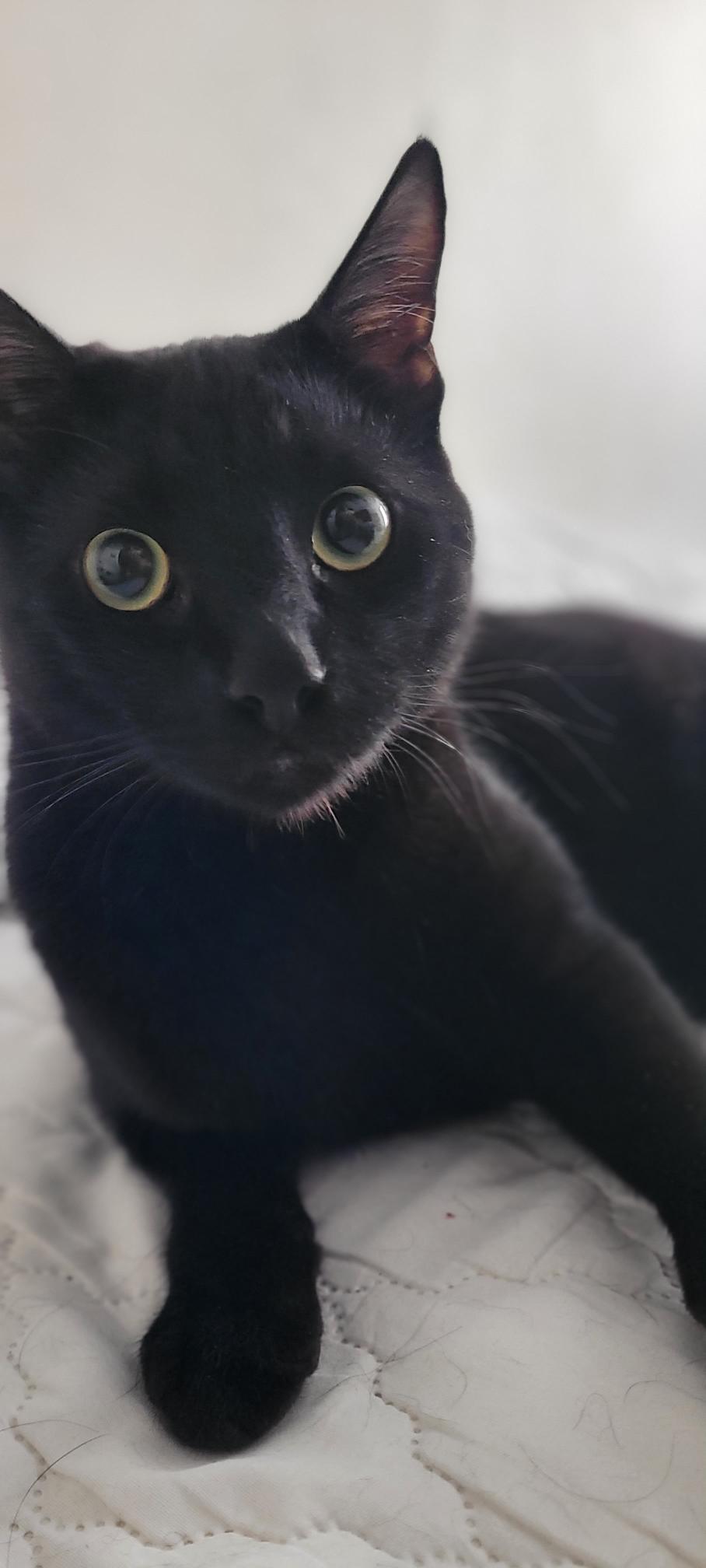 Roberta