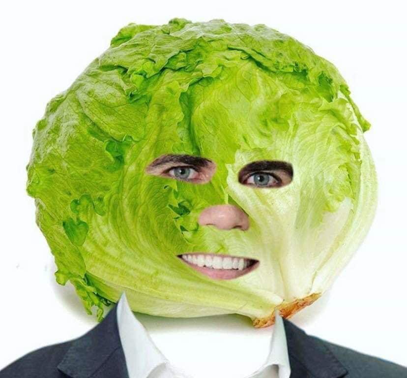 Lechuga 