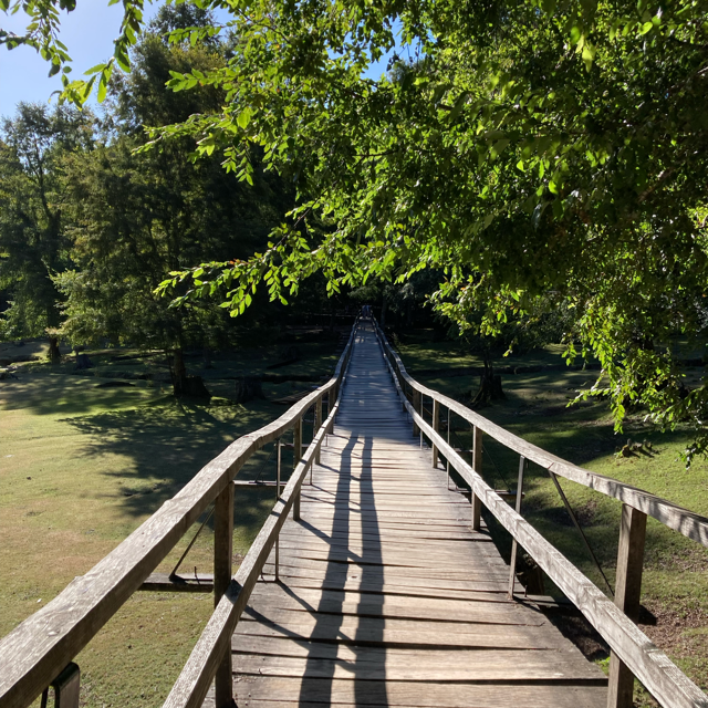 Anónima 