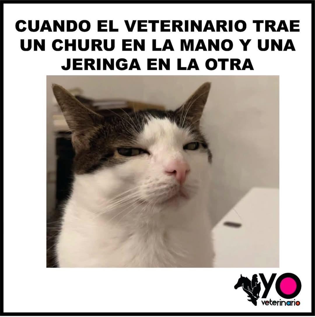 Leonor