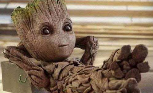 Yo soy Groot