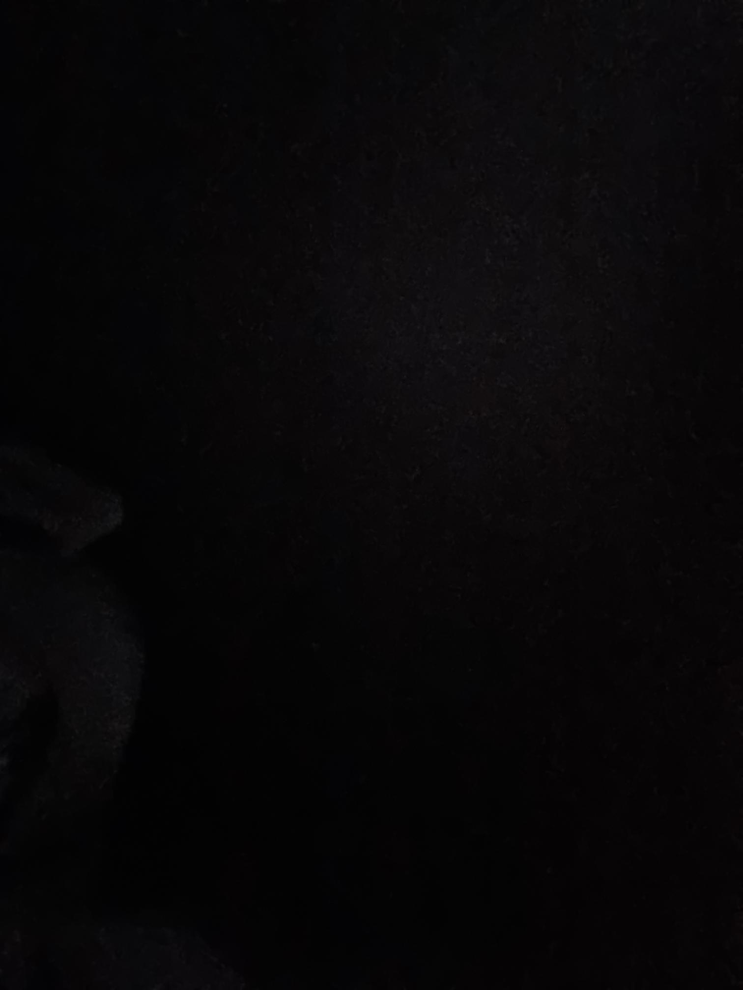 PM