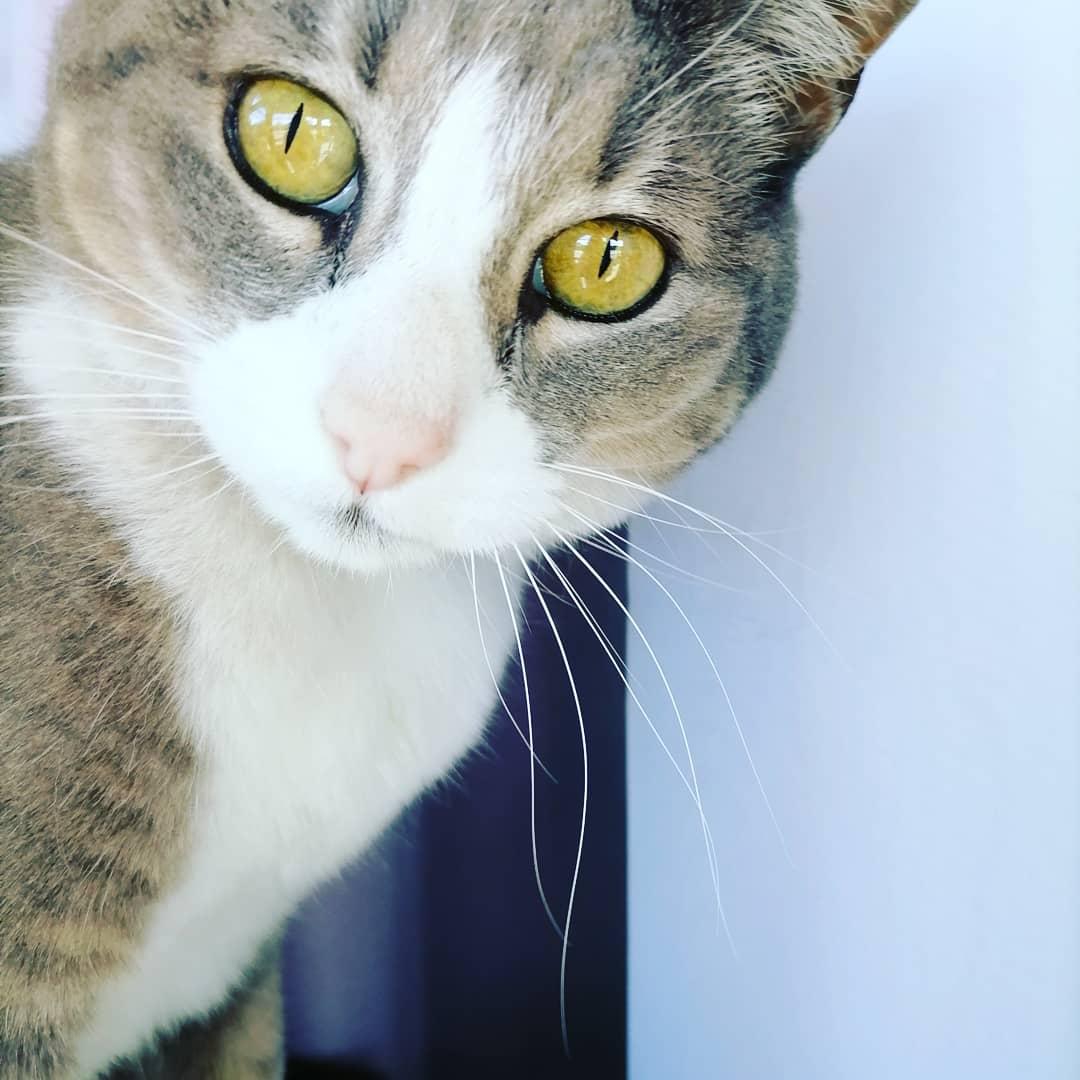 Ximena