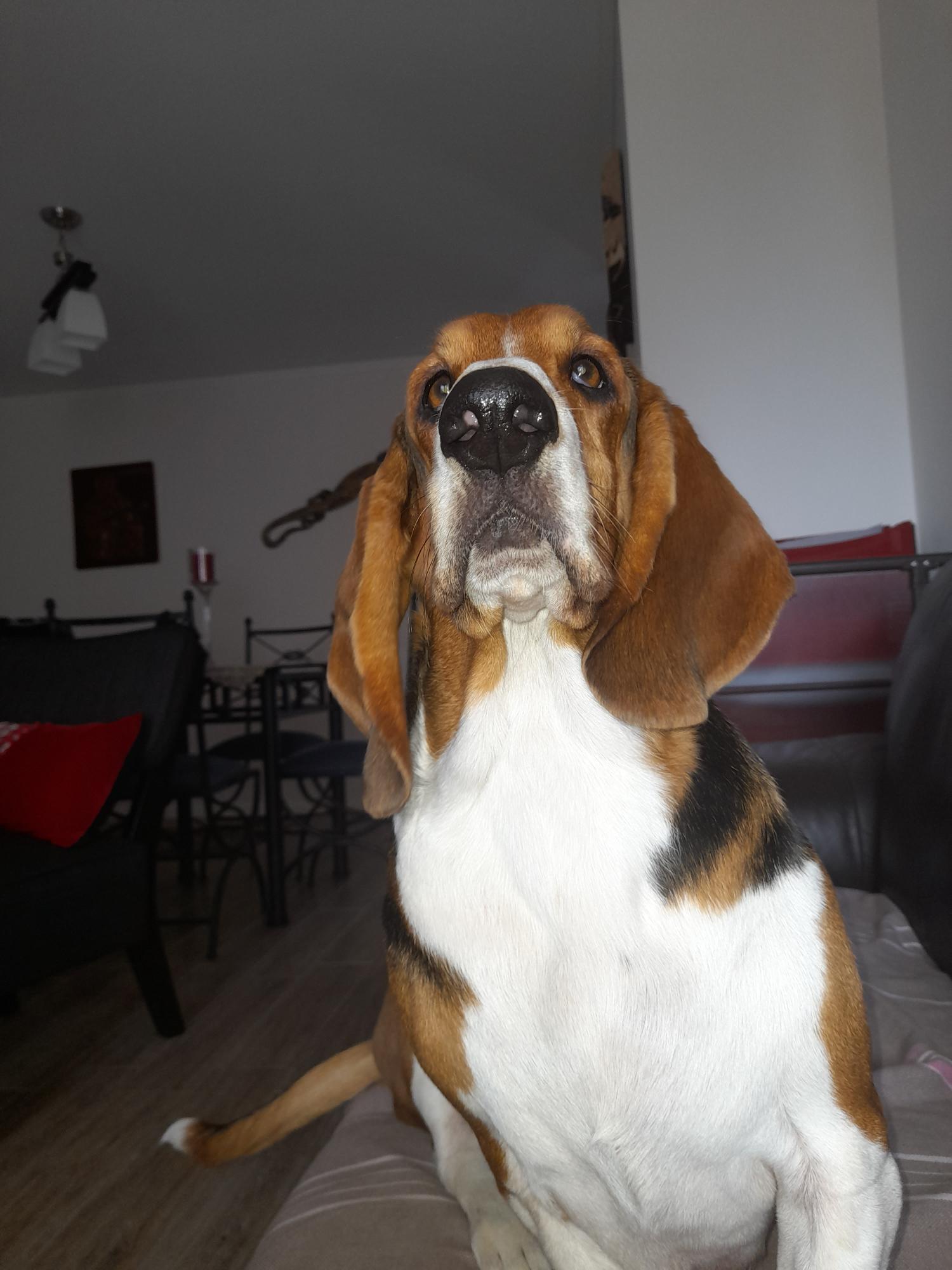 José Pablo