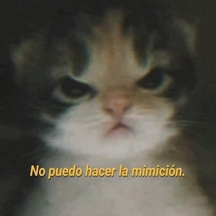 Hipólita