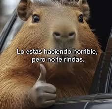 Pppppppp