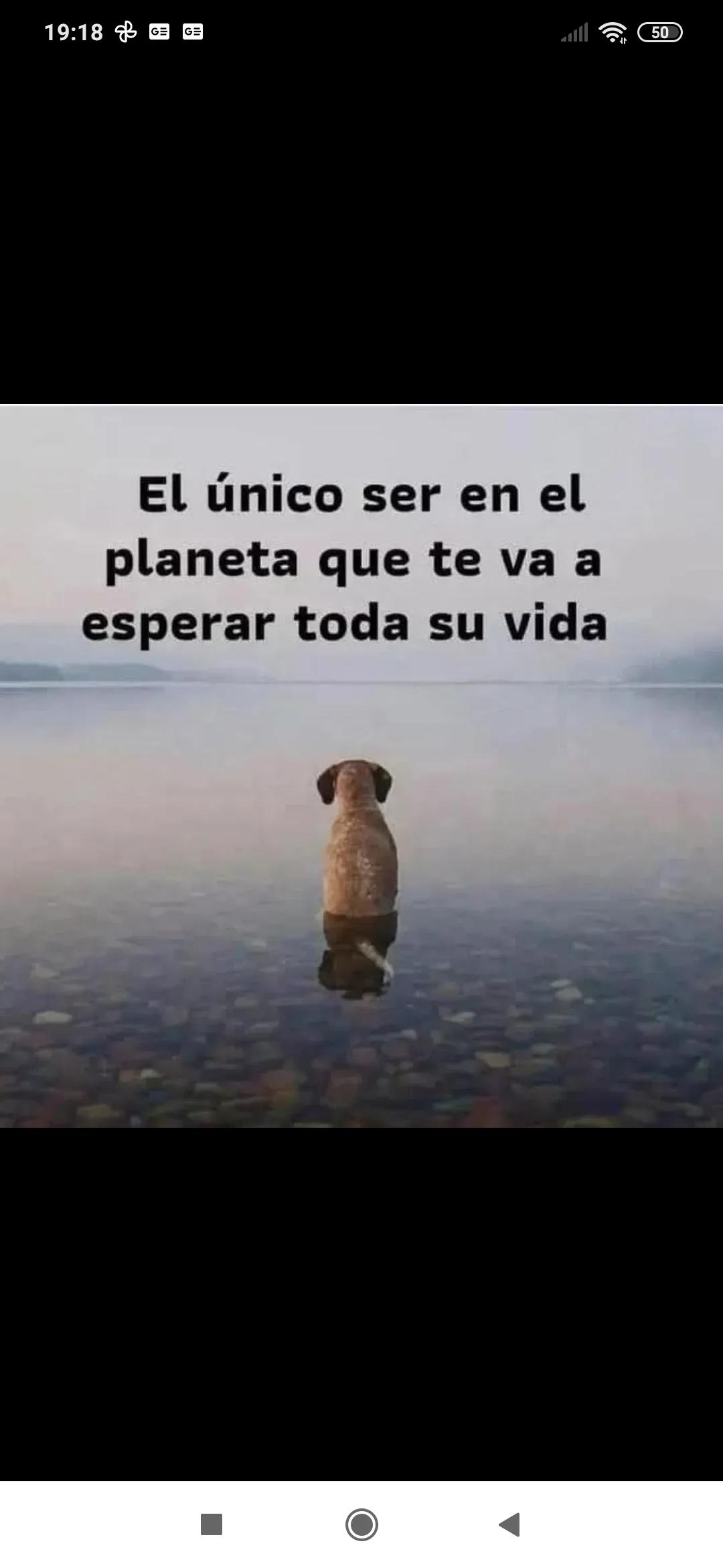 Moly