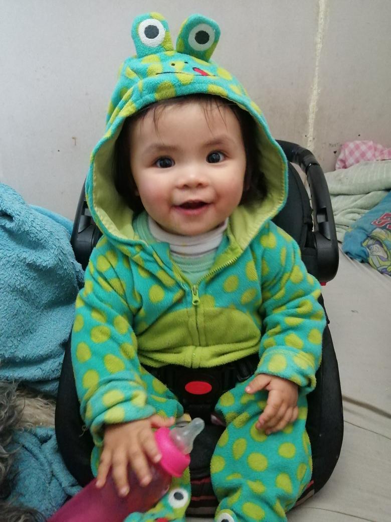 Florita