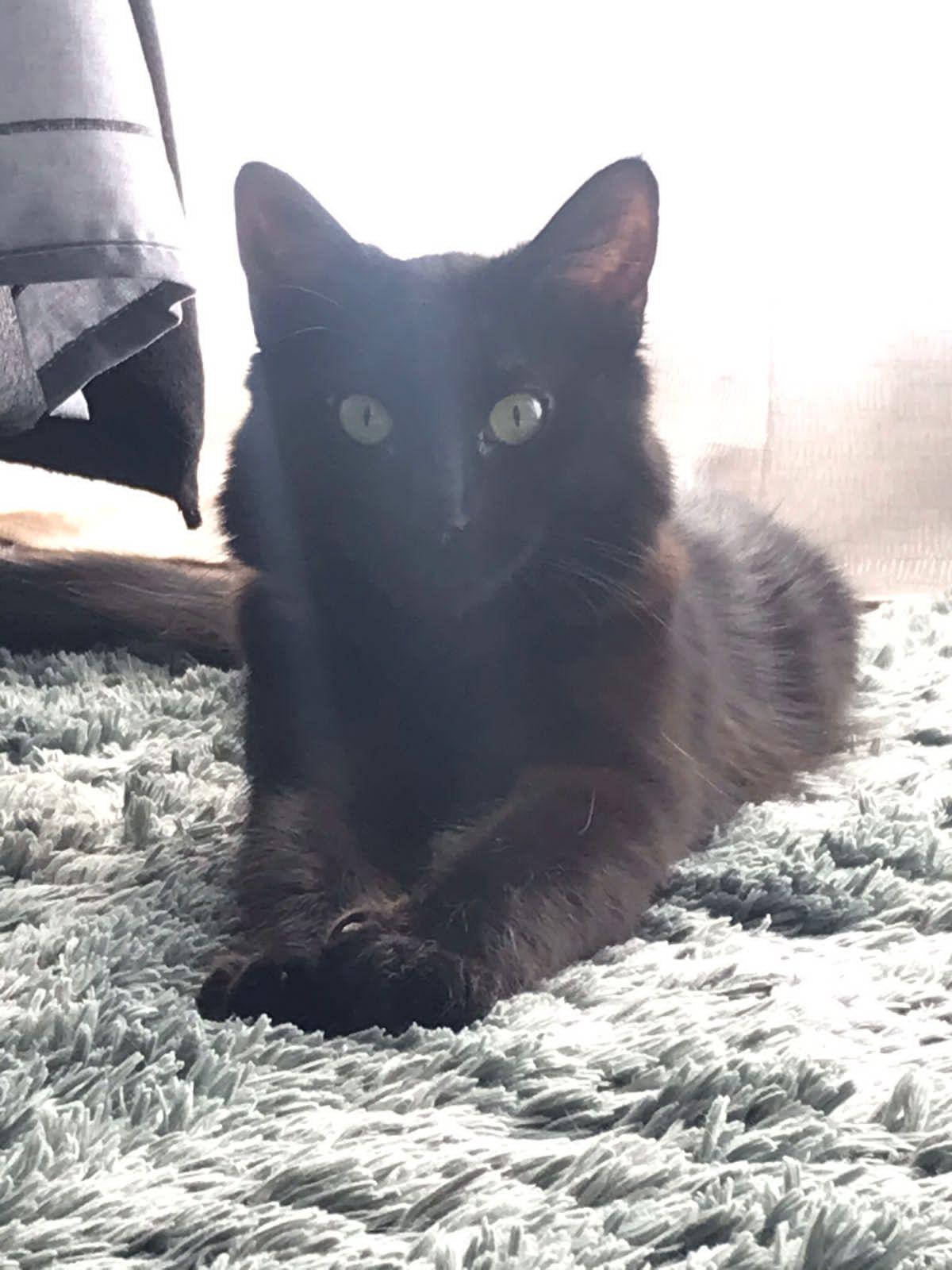 Sam