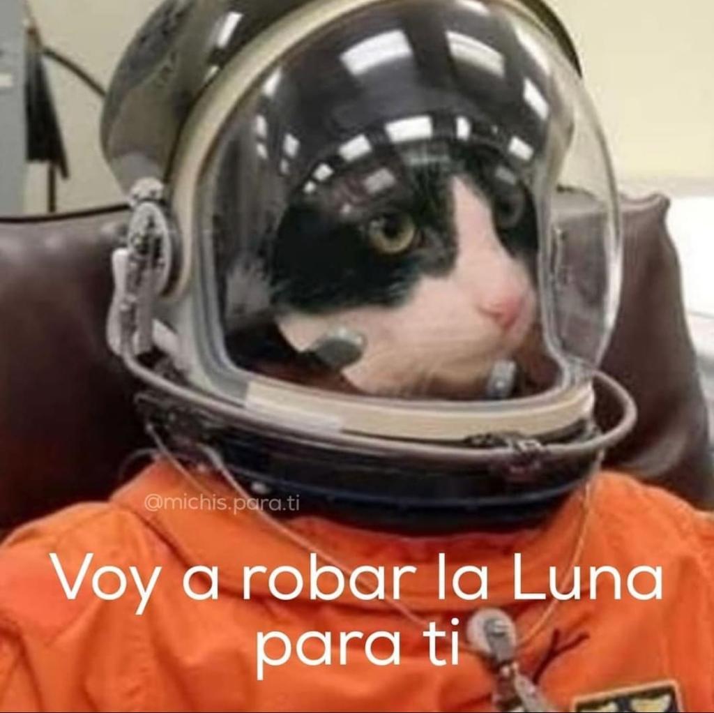 Pipa