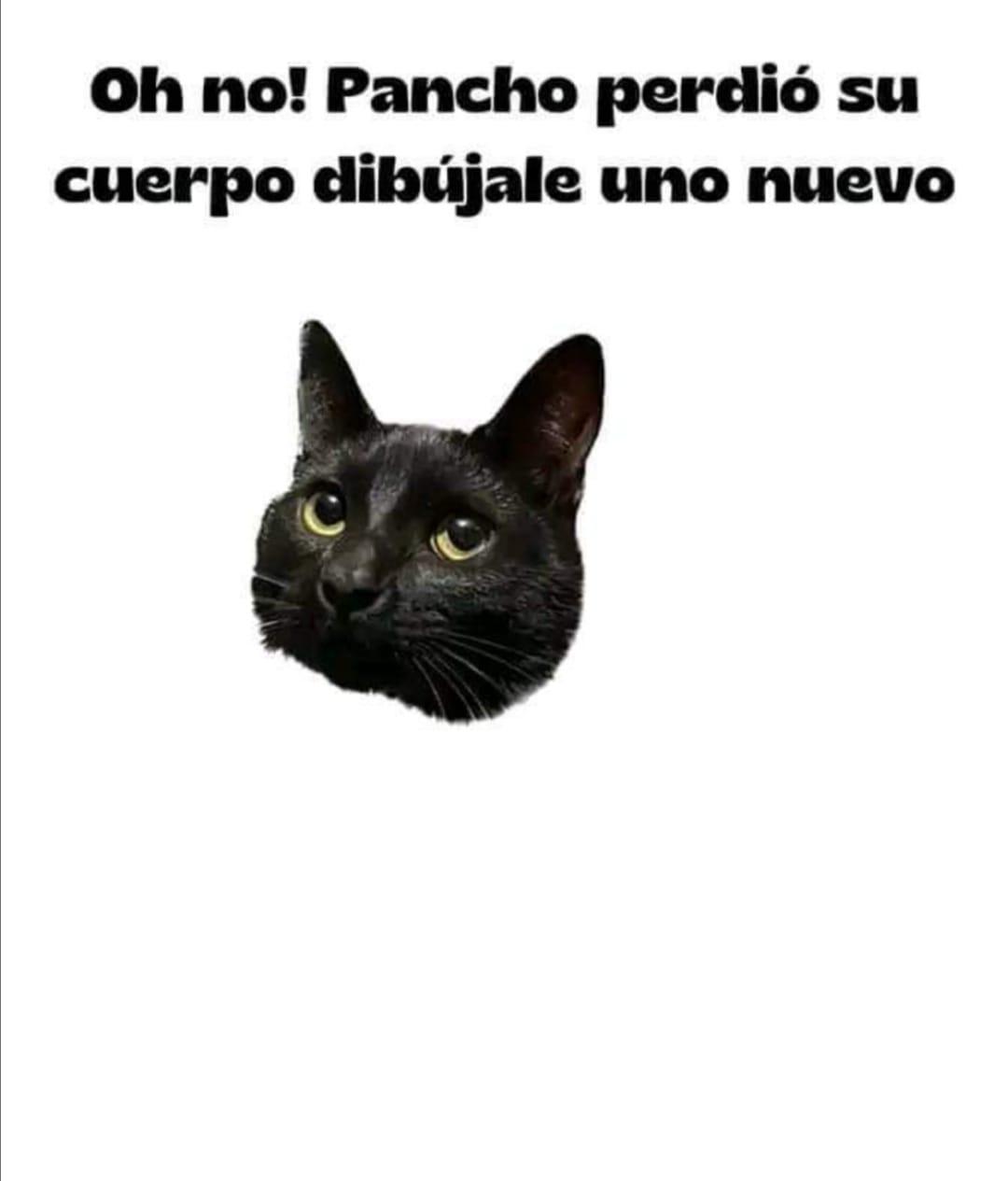 Javi