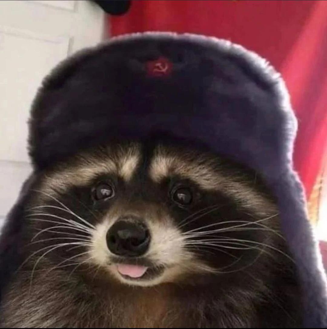 Nicolas