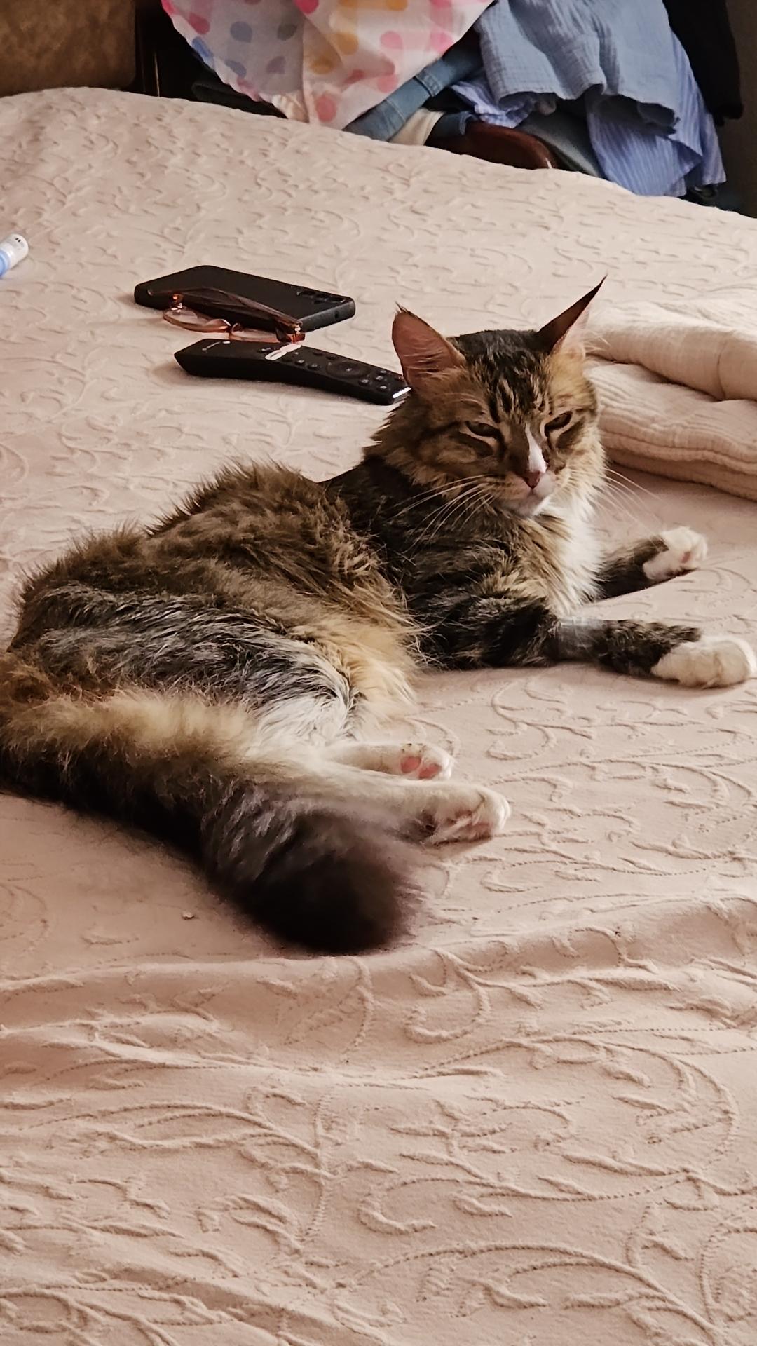 Diego