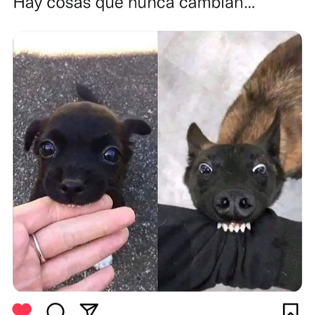 Vecindad central
