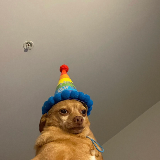 Javi