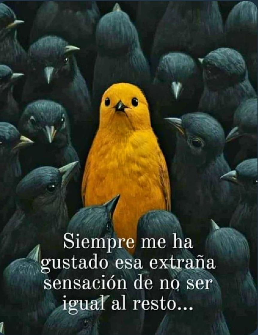 Nory