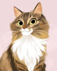 Mr. MIAU