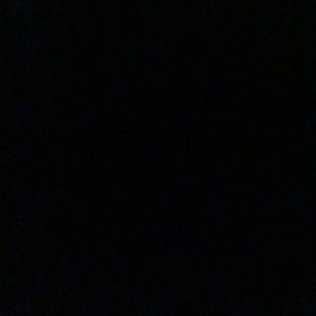 GonzaCam