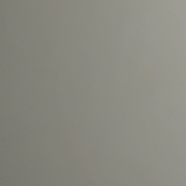 Rau 