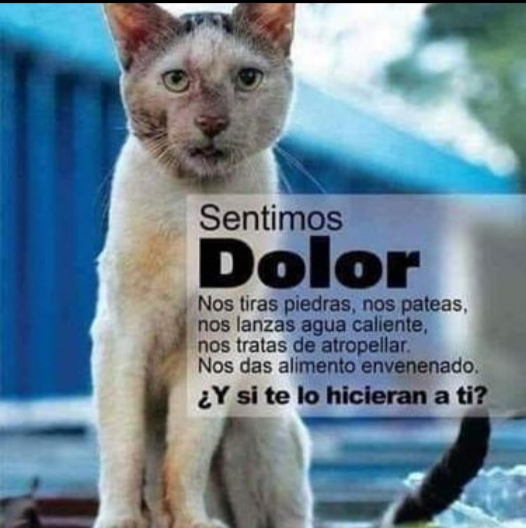 Pablo