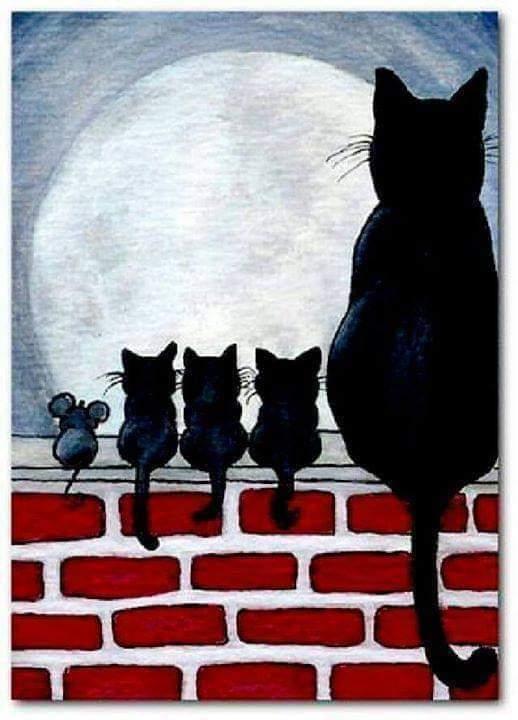 CAT_motorizado