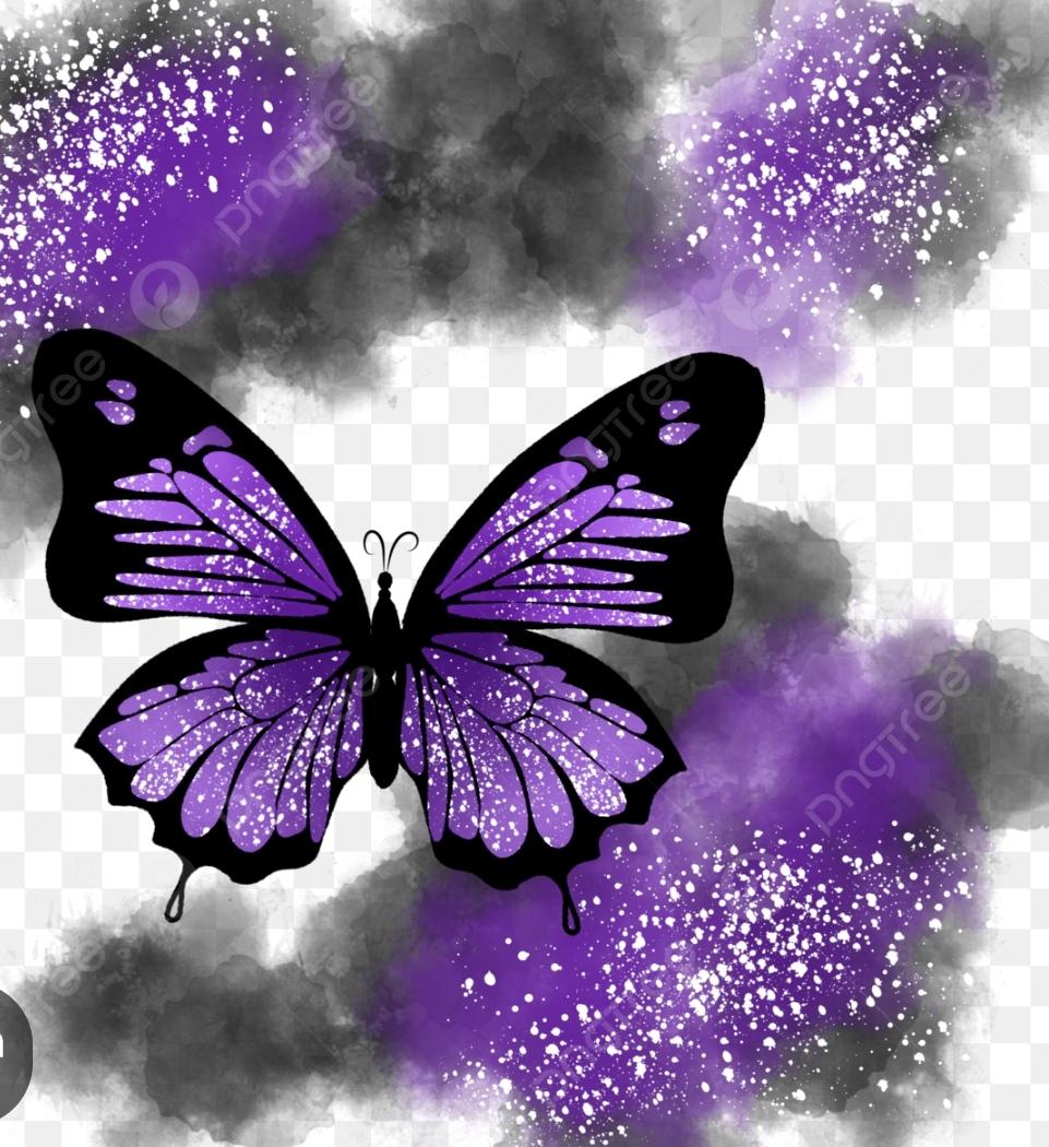 Mariposa ?