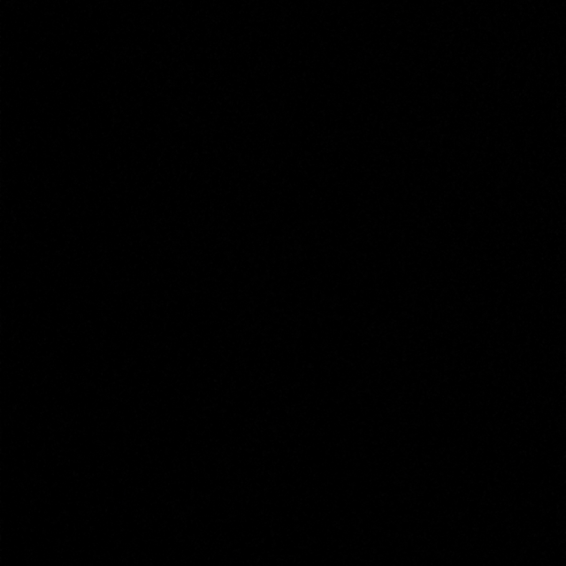 Anonimo
