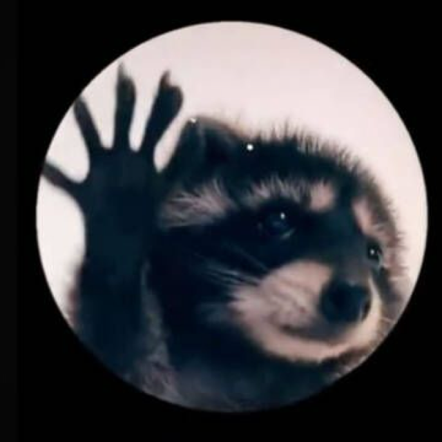 Mapache