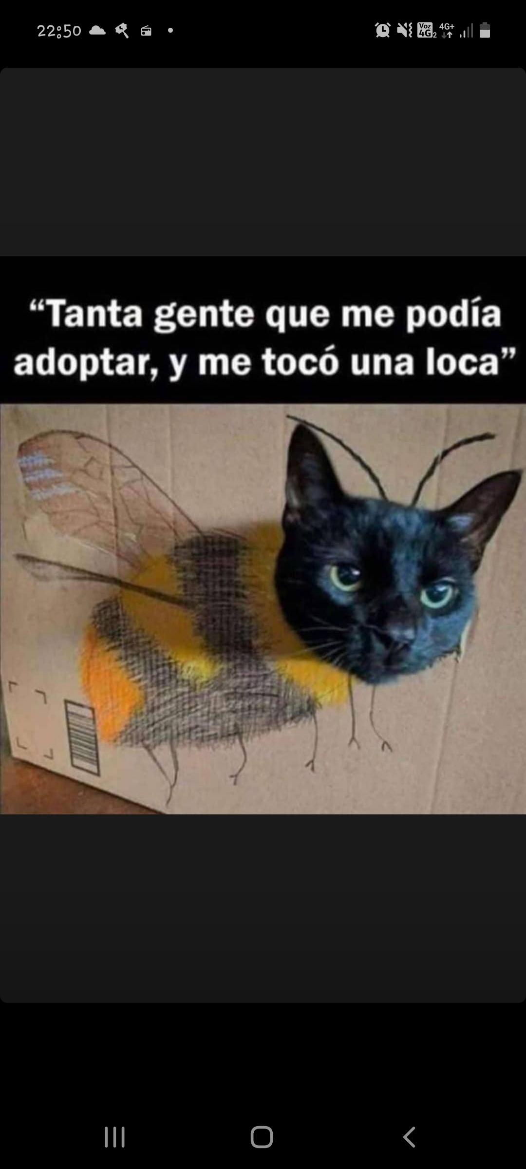 Sol